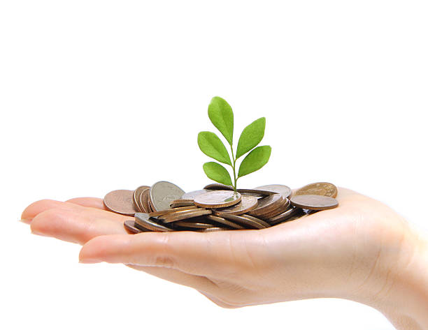 <span  class="uc_style_uc_tiles_grid_image_elementor_uc_items_attribute_title" style="color:#ffffff;">hand full of money and holding a green plant, concept for finance</span>